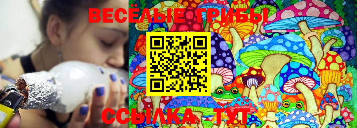 Новосибирск  Псилоцибиновые грибы GOLDEN TEACHER  Псилоцибиновые грибы мицелий  Вход с VPN 