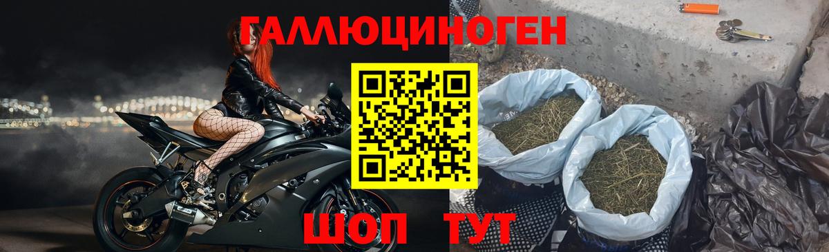 Амфетамин Новосибирск